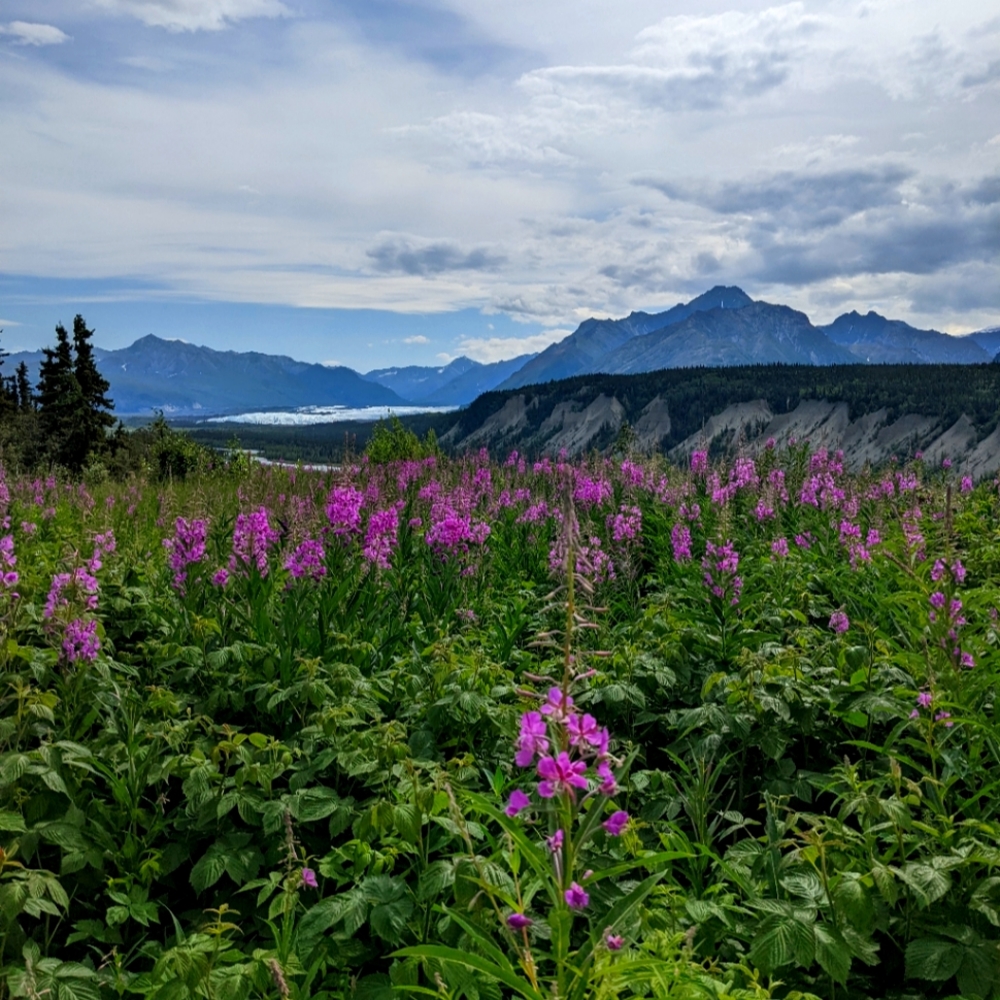 Meet your Posher, Lizzie